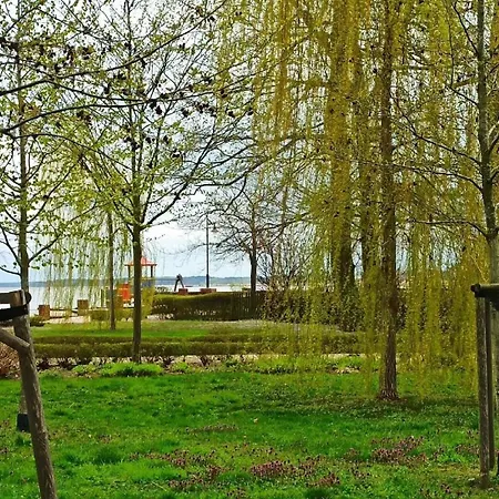 Apartman Wunderschoene In Ueckermuende Mit Grill Und Garten